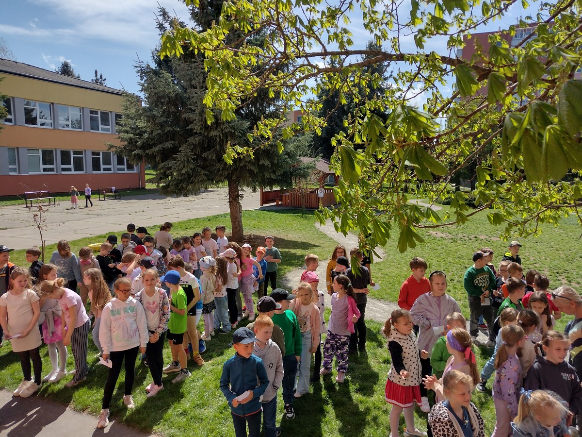 IMG 20250416 142037727 HDR
