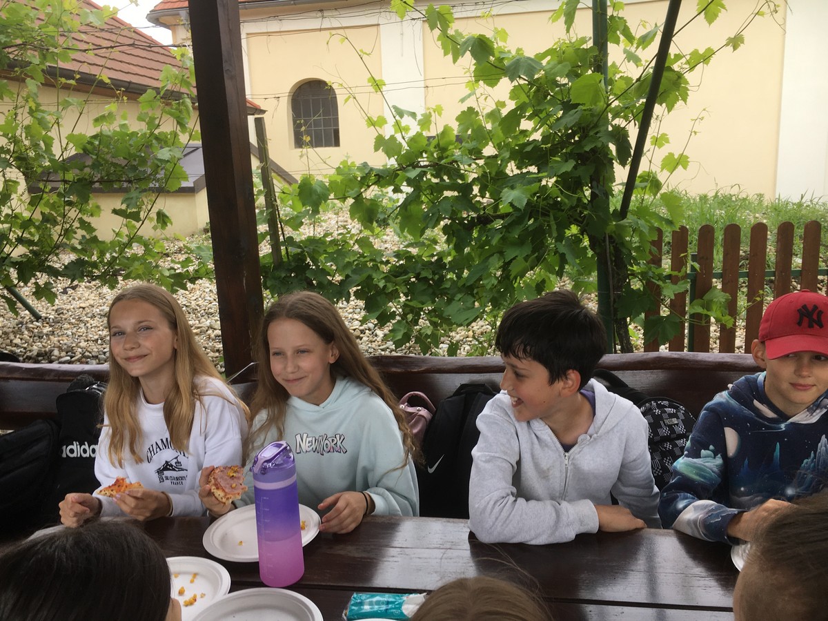IMG 3008