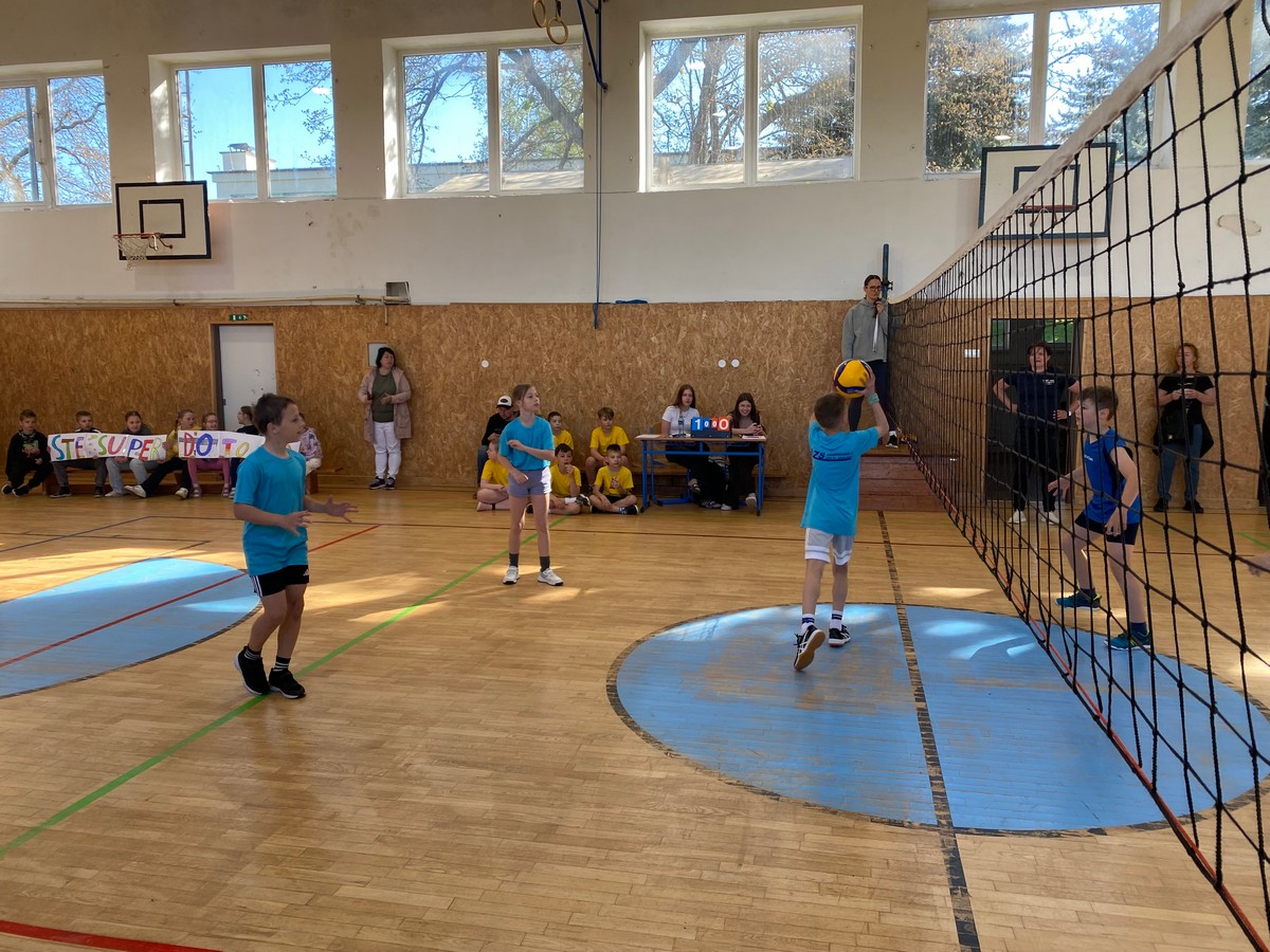 IMG 4801