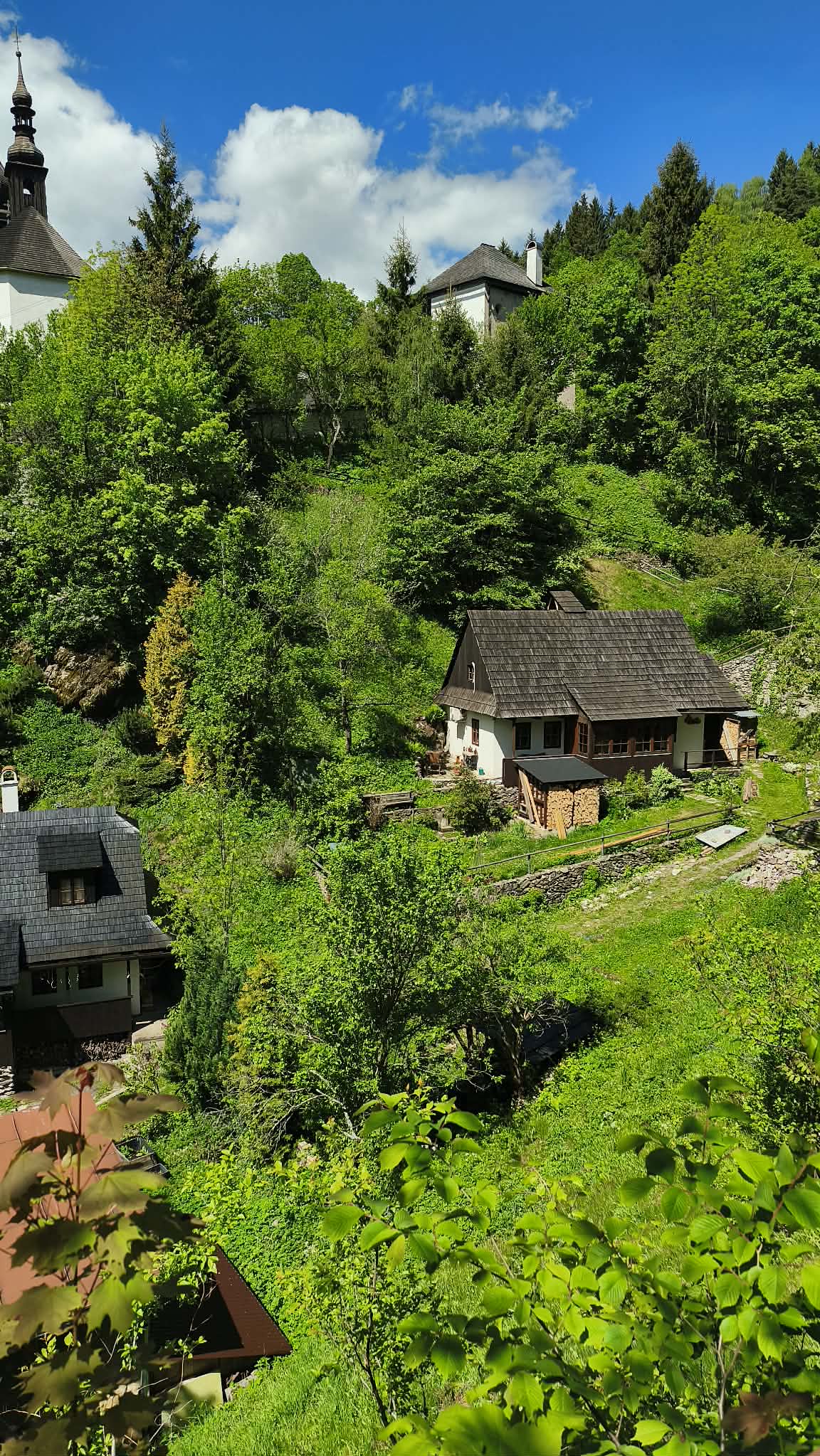 Foto11