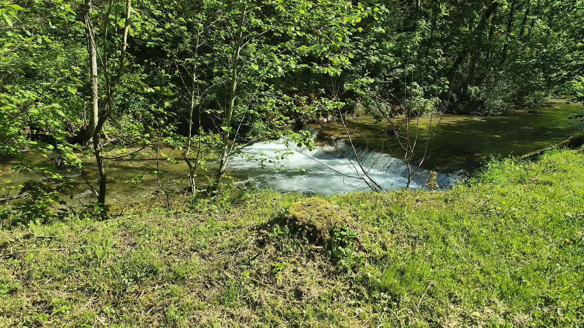 Foto11