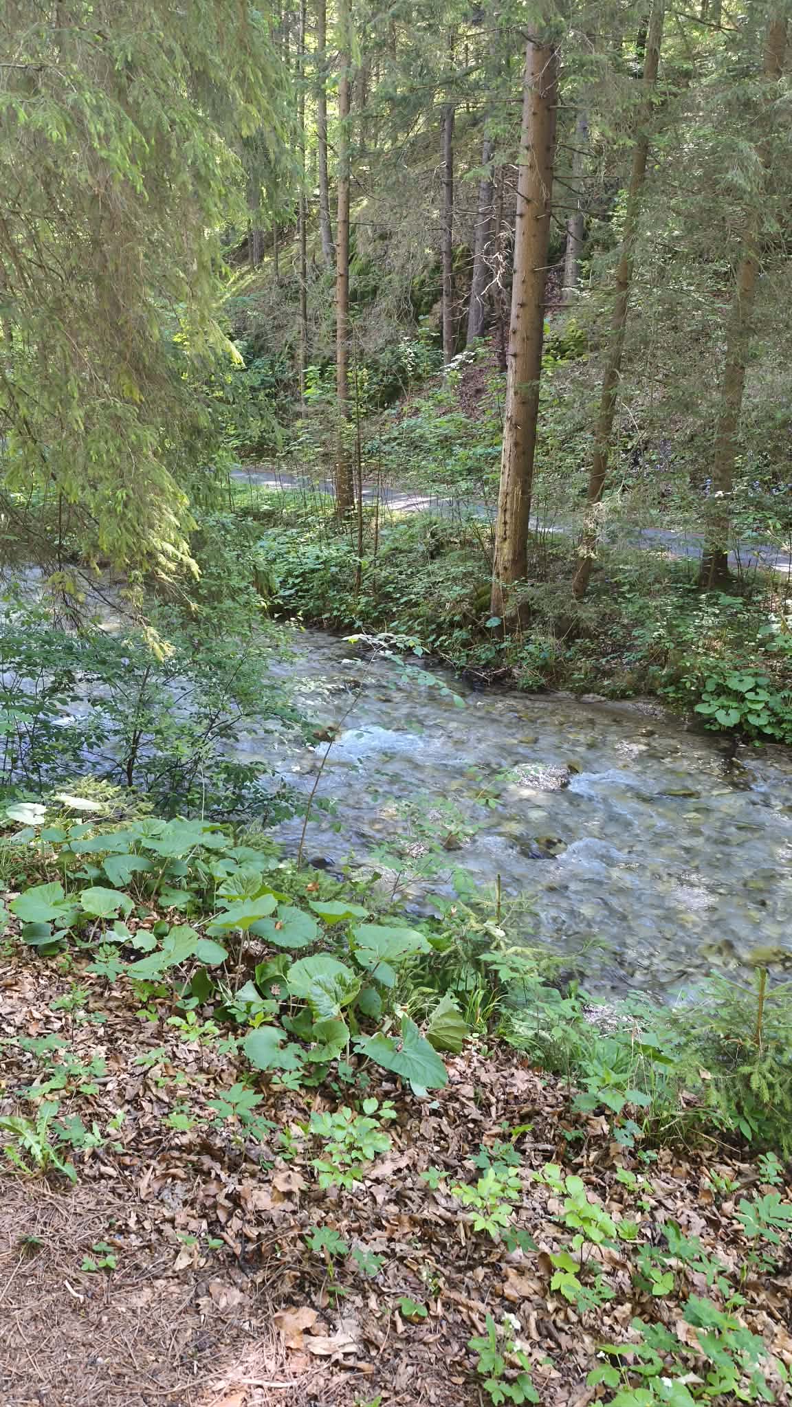 Foto11