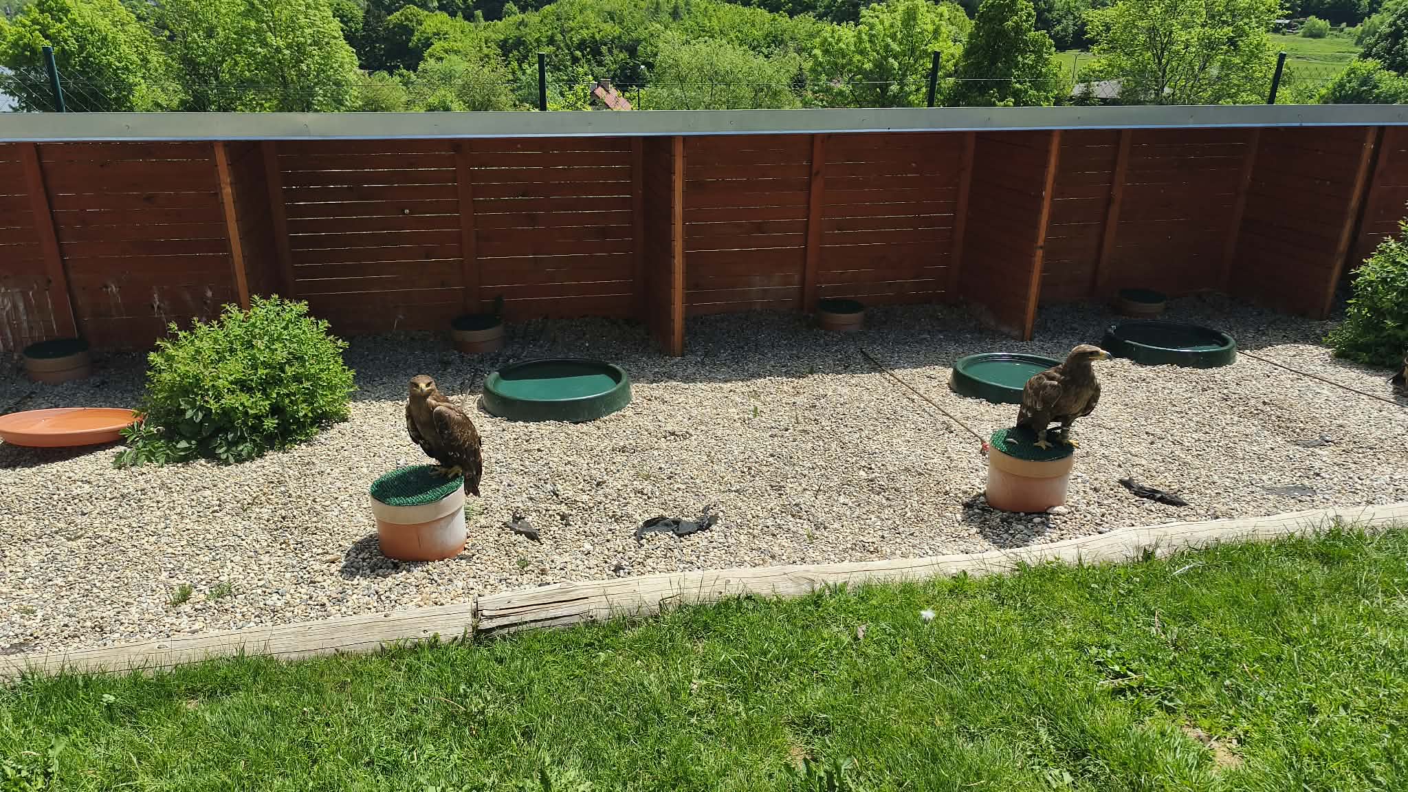 Foto11
