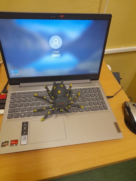 277977001 2765801420391991 2584481434618371196 n